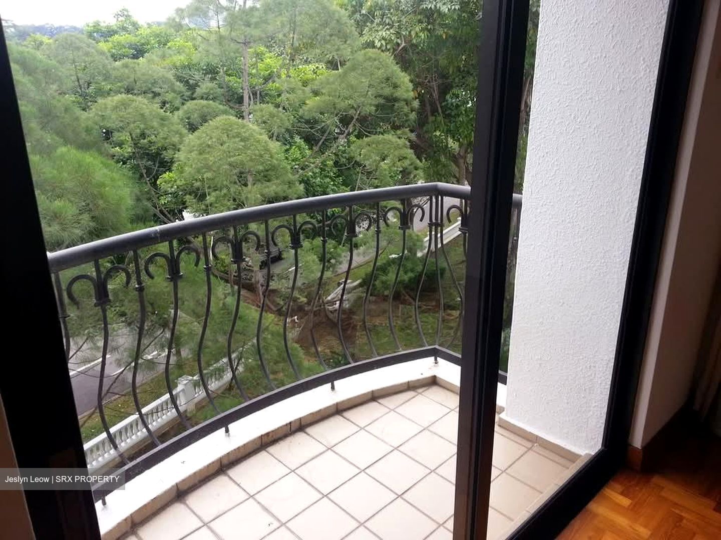 Tanglin Park (D10), Condominium #591846421